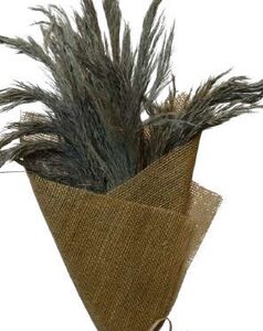 Pampas Wooly Sage Green