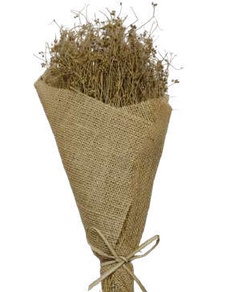 Parsi Grass Natural