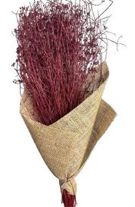 Parsi Grass Red