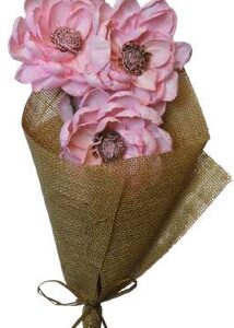 Peony Flower Coral Pink