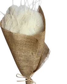 Skeleton Pipul Leaves Natural