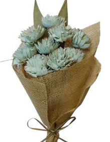 Slice Flower Sage Green