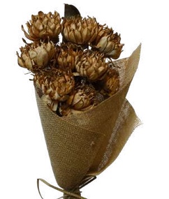 Spike Flower Skin Rust