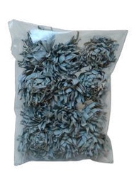 Spike Flower Skin Grey