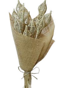 Vine Lantern Natural