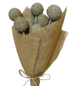 Vizi Balls Sage Green