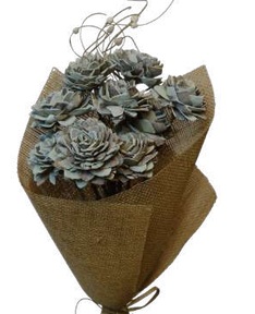 Waterlily Mixed Bouquet Sage Green