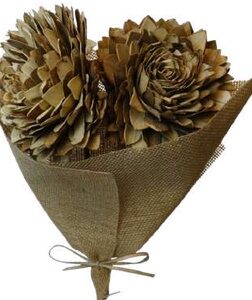 Waterlily Mixed Rust