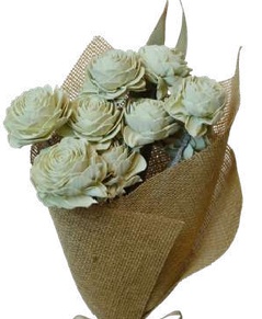 Waterlily Sage Green