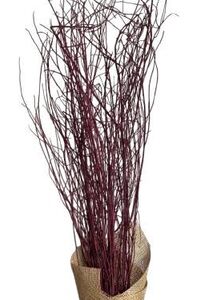 Willow Branch Red