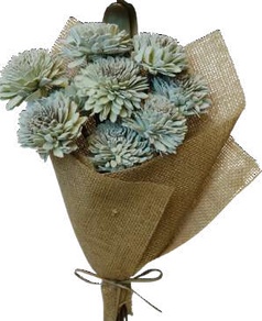 Zinnia Flower Sage Green