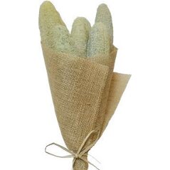 Luffa Sage Green