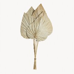 XL Palm Spear Natural