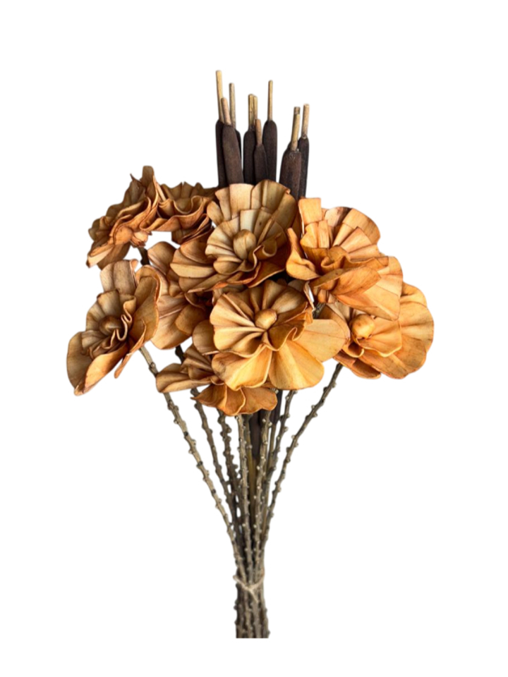 rust hydrangea