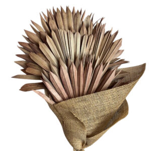 Old pink palm sun spear