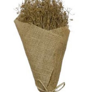Natural 100gram parsi grass