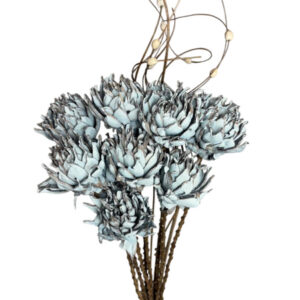 light blue spike flower