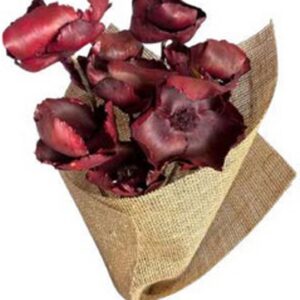 Red palm caps