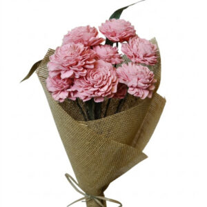 coral pink dahila with leaves