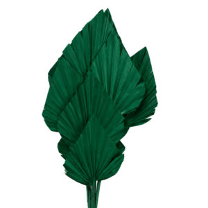 Abundant green palm spear