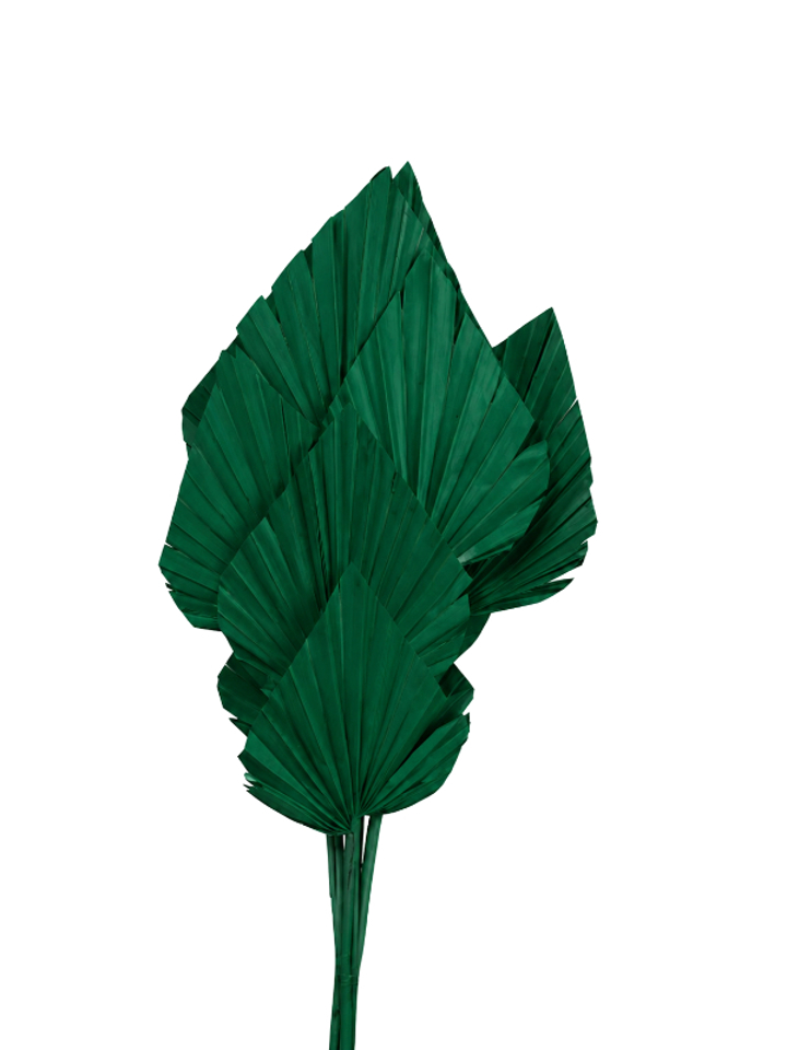 Abundant green palm spear
