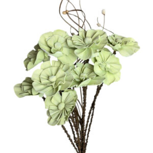 sage green hydrangea