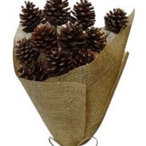Red pine cone