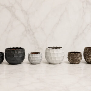 London Collection