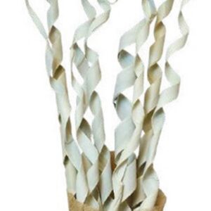 Natural palm roll