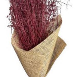 Red 100gram parsi grass