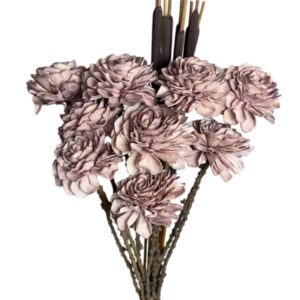 Old pink dahlia flower