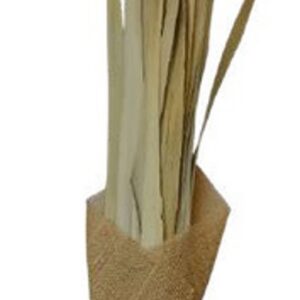 Natural 300gram sun palm leaves
