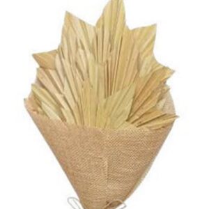 Corn yellow palm maple