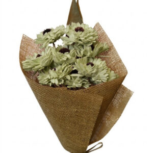 sage green germini flower with leaves