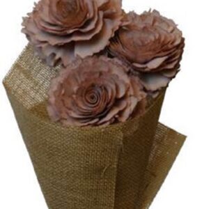 Old pink cedar rose with leaves