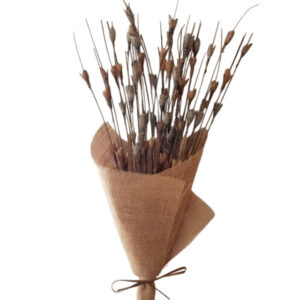 Grey lily branch