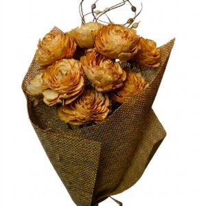 rust cedar rose