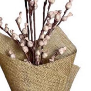 Old pink shola poppy branch