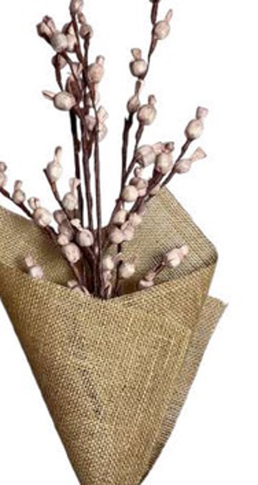 Old pink shola poppy branch