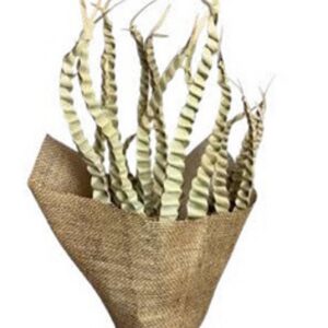Natural palm five finger