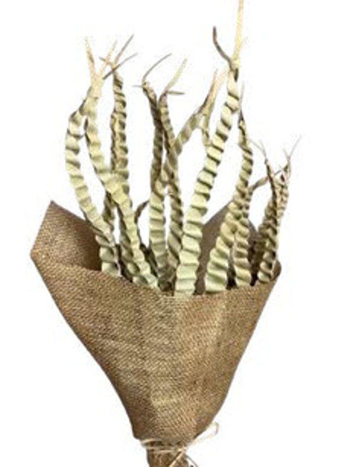 Natural palm five finger
