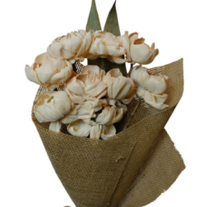 Corn yellow peony flower with leaves