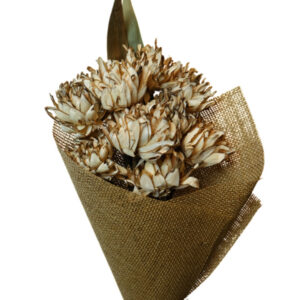 Corn yellow Spike flower skin with leaves