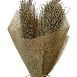Natural palm jhat