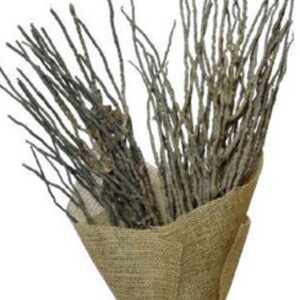 Natural coco jhar