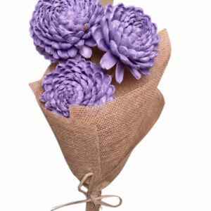 lavender chrysanthemum