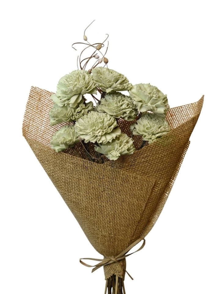 sage green carnation