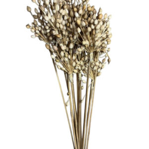 Natural moti bunch