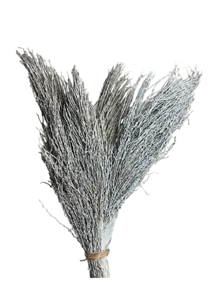 grey palm jhat