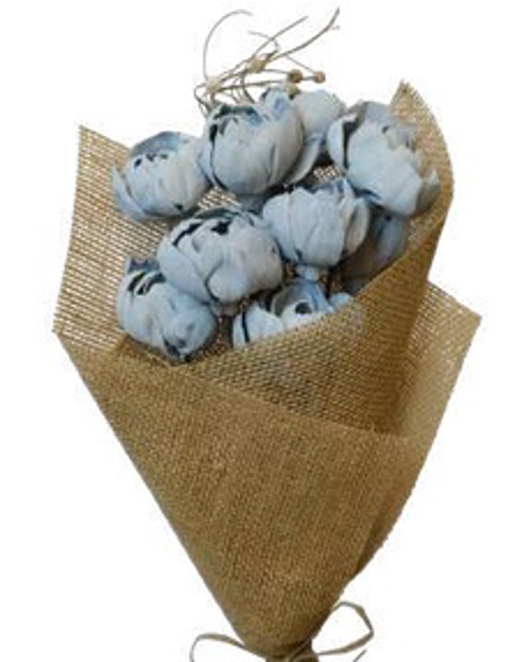 Grey peony rose